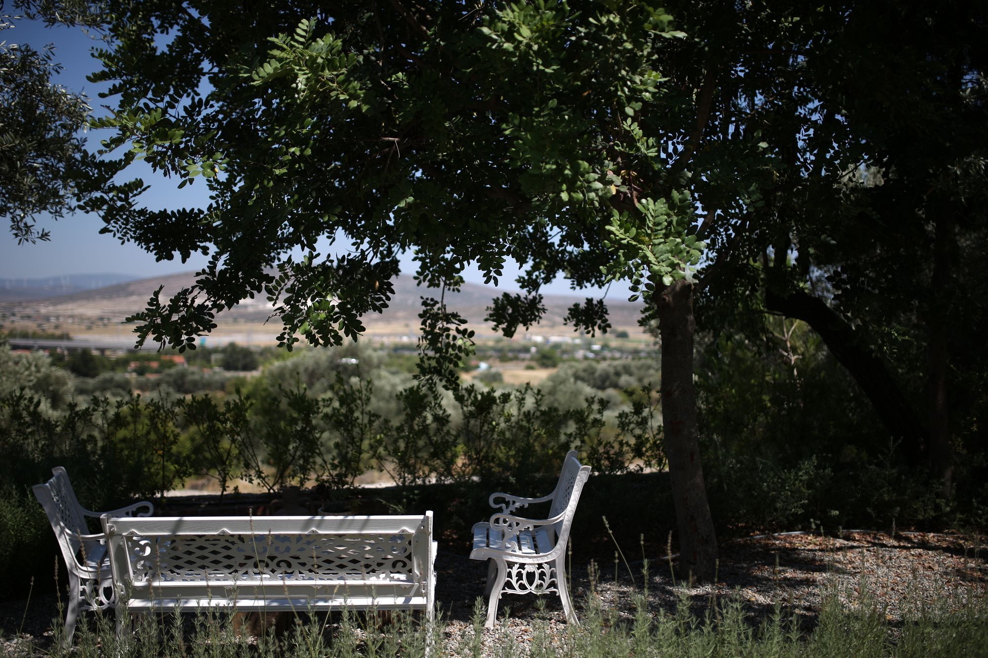 Villa Taraca Alacati Romantik Otel (Adults Only) Bagian luar foto